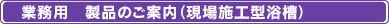 �Ɩ��p�����C