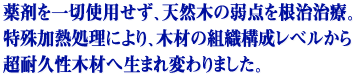 �O���ރR�s�[