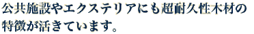 �G�N�X�e���A�R�s�[