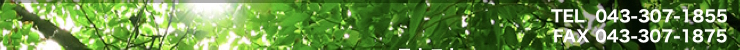 �X�C���[�W